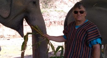 Sanctuaire des Éléphants – Chiang Mai