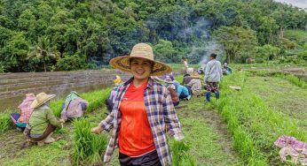 Mae Chaem – rizières de Ban Mae wae – Province de Chiang Mai