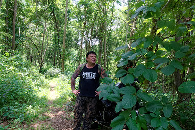 Pa Dong Pong Wai – Trek dans la jungle
