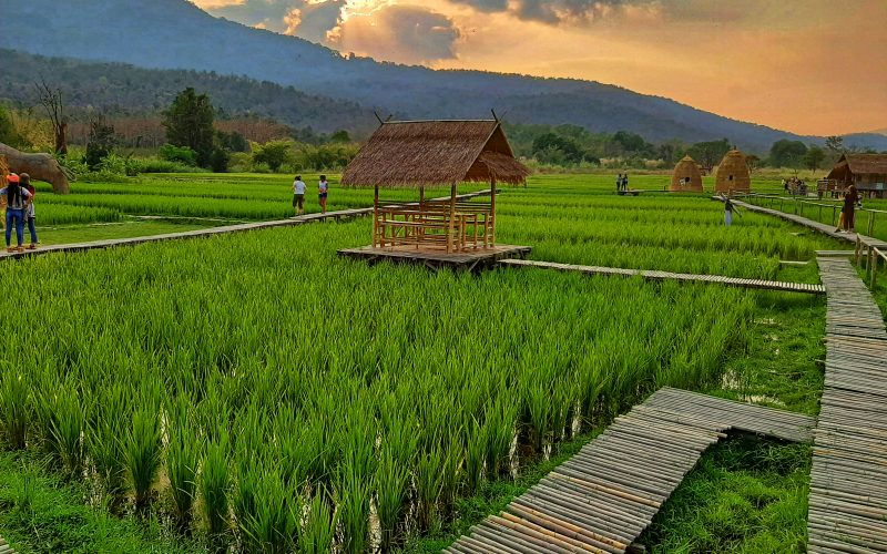 Quoi faire à Mae Rim – province de Chiang mai - Thaïlande