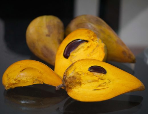 Canistel - Pouteria campechiana