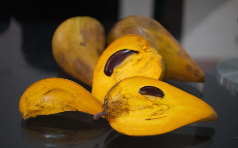Canistel - Pouteria campechiana