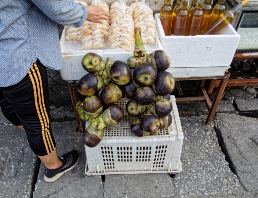 Fruit du Palmier de Palmyre ou Taals – fruit exotique en Thaïlande
