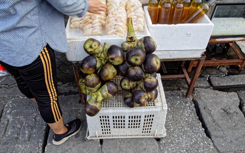 Fruit du Palmier de Palmyre ou Taals – fruit exotique en Thaïlande