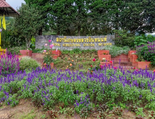 Inthanon Royal Project – district de Chom Thong