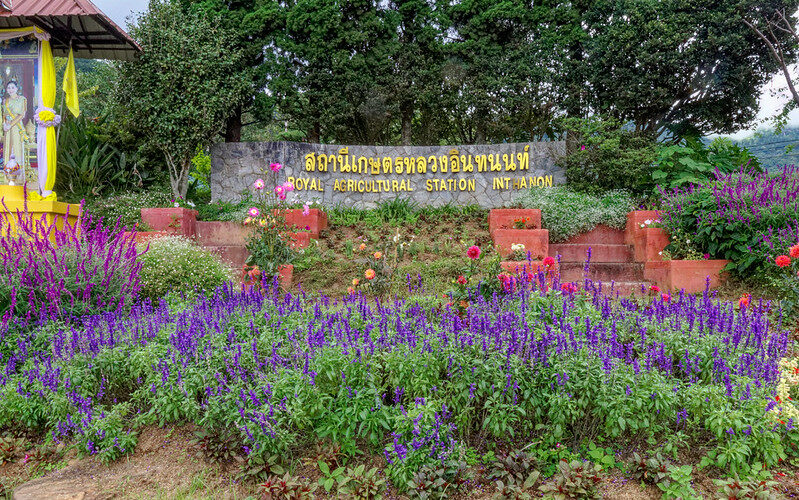 Inthanon Royal Project – district de Chom Thong