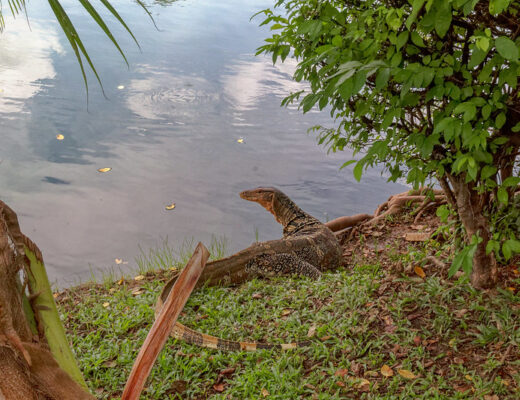 varan malai parc lumpini