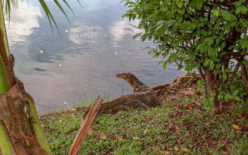 varan malai parc lumpini
