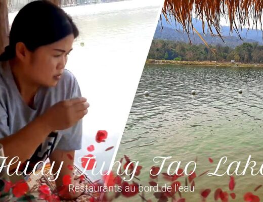 huay tung tao