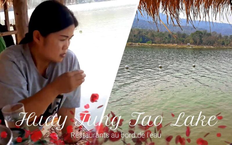 huay tung tao